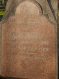 image of grave number 238164
